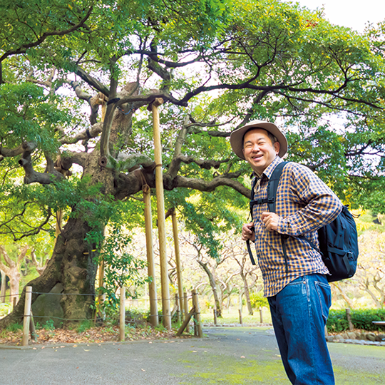 森の生命力が教えてくれる街の過去と未来