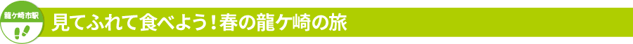 見てふれて食べよう!春の龍ケ崎の旅