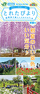 「とれたびより」2018年初夏号(別ウィンドウでデジタルカタログが開きます)