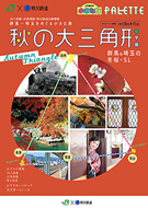 群馬&埼玉の冬桜・SL「秋の大三角形」(2019.10→2019.11)(別ウィンドウでデジタルカタログが開きます)