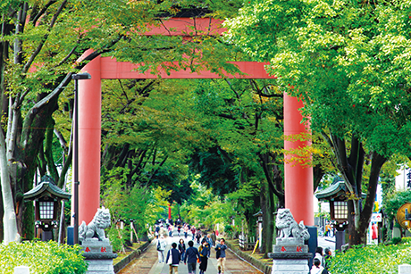 武蔵一宮氷川神社のイメージ