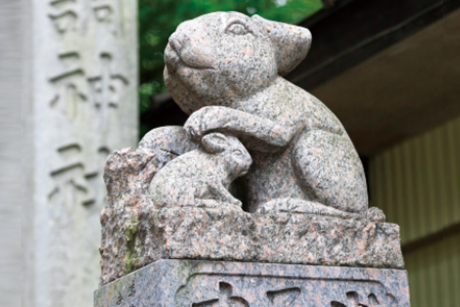 調（つき）神社のイメージ