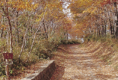 駅からハイキング　自然満喫！ぐんま百名山のひとつ「庚申山」の紅葉を楽しむハイキングのイメージ