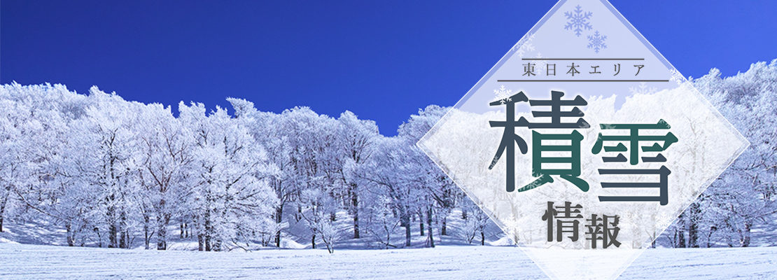 栃木県 列車の旅 おトクなきっぷ Jr東日本
