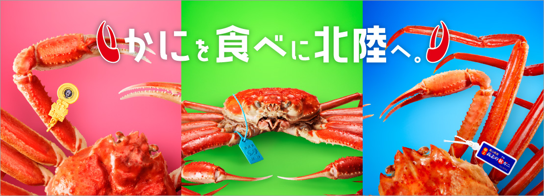 福井県 観光 イベント情報 Jr東日本 福井県 観光 イベント情報 Jr東日本