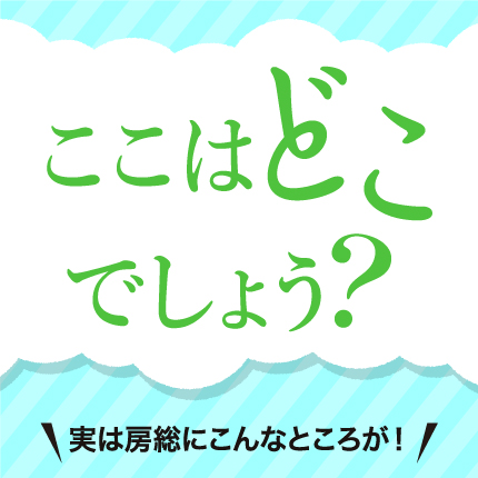 ここはどこでしょう?