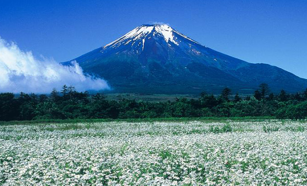 中央線に乗って富士山に行こう！ イメージ
