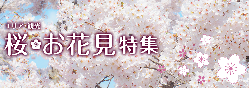 桜 お花見特集 関東 伊豆エリア Jr東日本 桜 お花見特集 関東 伊豆エリア Jr東日本