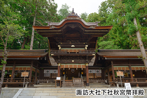 諏訪大社 女神2社巡りコース（春宮・秋宮）のイメージ