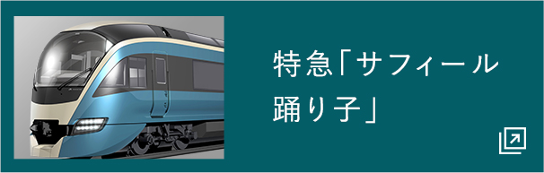 乗車位置案内板 特急踊り子号 - コレクション
