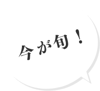 今が旬!