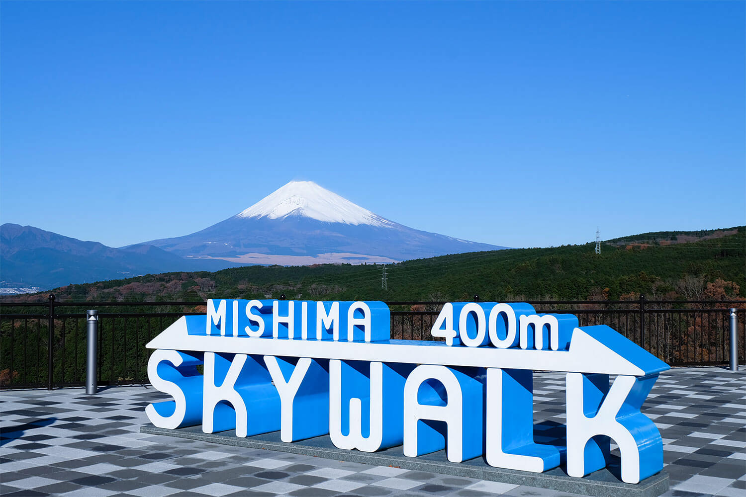 三島スカイウォーク ジップライン 来て 見て ぐっときた 伊豆 箱根 湯河原 湯どき花どきキャンペーン
