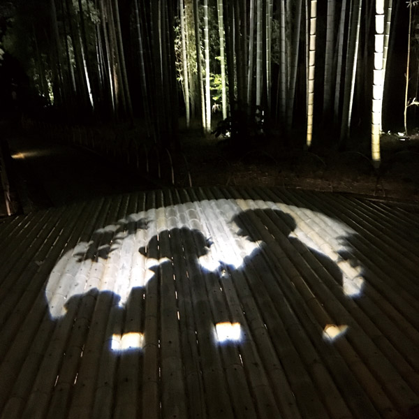 竹林の小径 切り絵ライトアップの写真