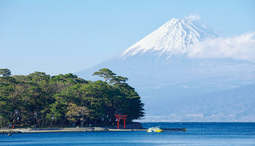 御浜岬公園