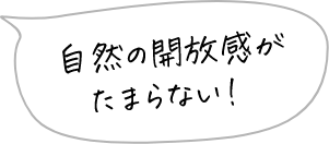 自然の開放感がたまらない!