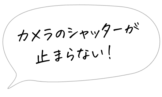カメラのシャッターが止まらない!