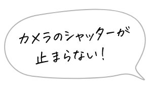 カメラのシャッターが止まらない!