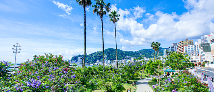 ジャカランダ遊歩道