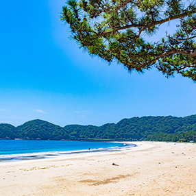弓ヶ浜