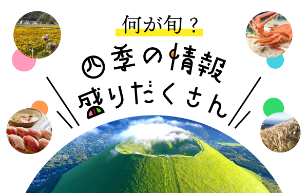 何が旬? 四季の情報盛りだくさん