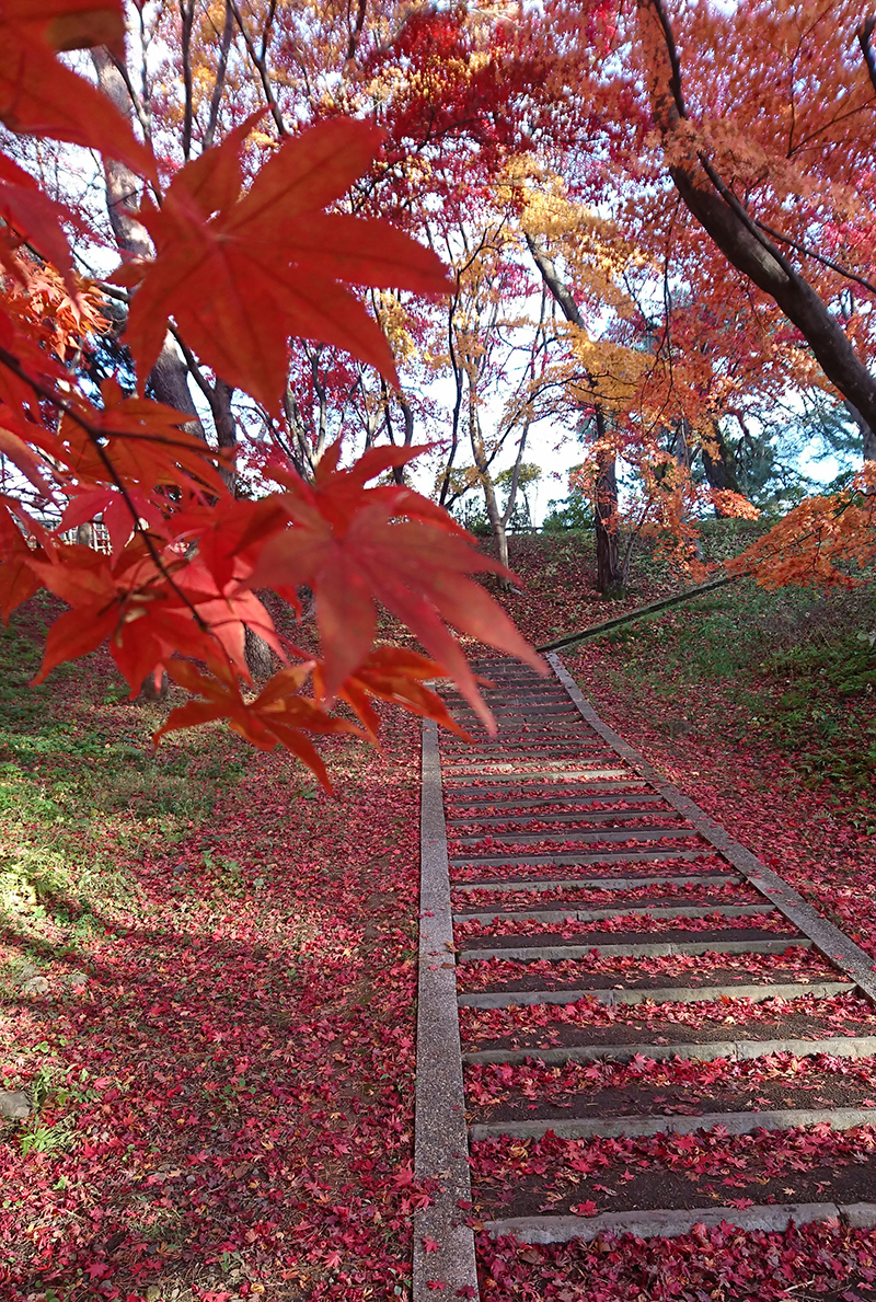 本丸の本丸南馬出石段