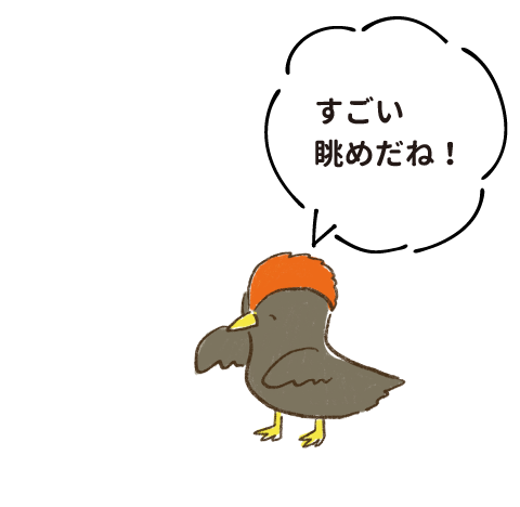 すごい眺めだね！