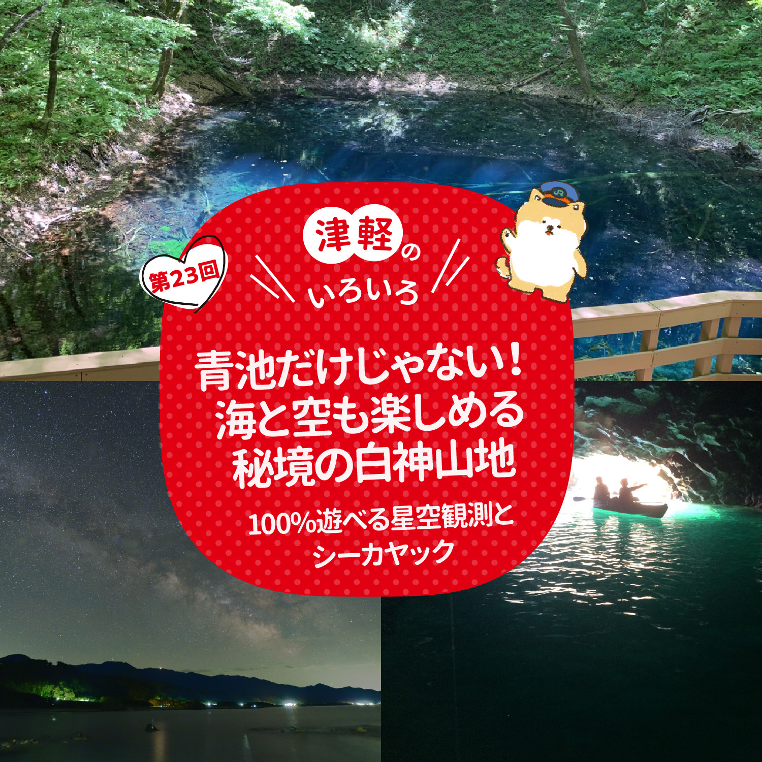 津軽のいろいろ 青池だけじゃない！海と空も楽しめる秘境の白神山地 100％遊べる星空観測とシーカヤック