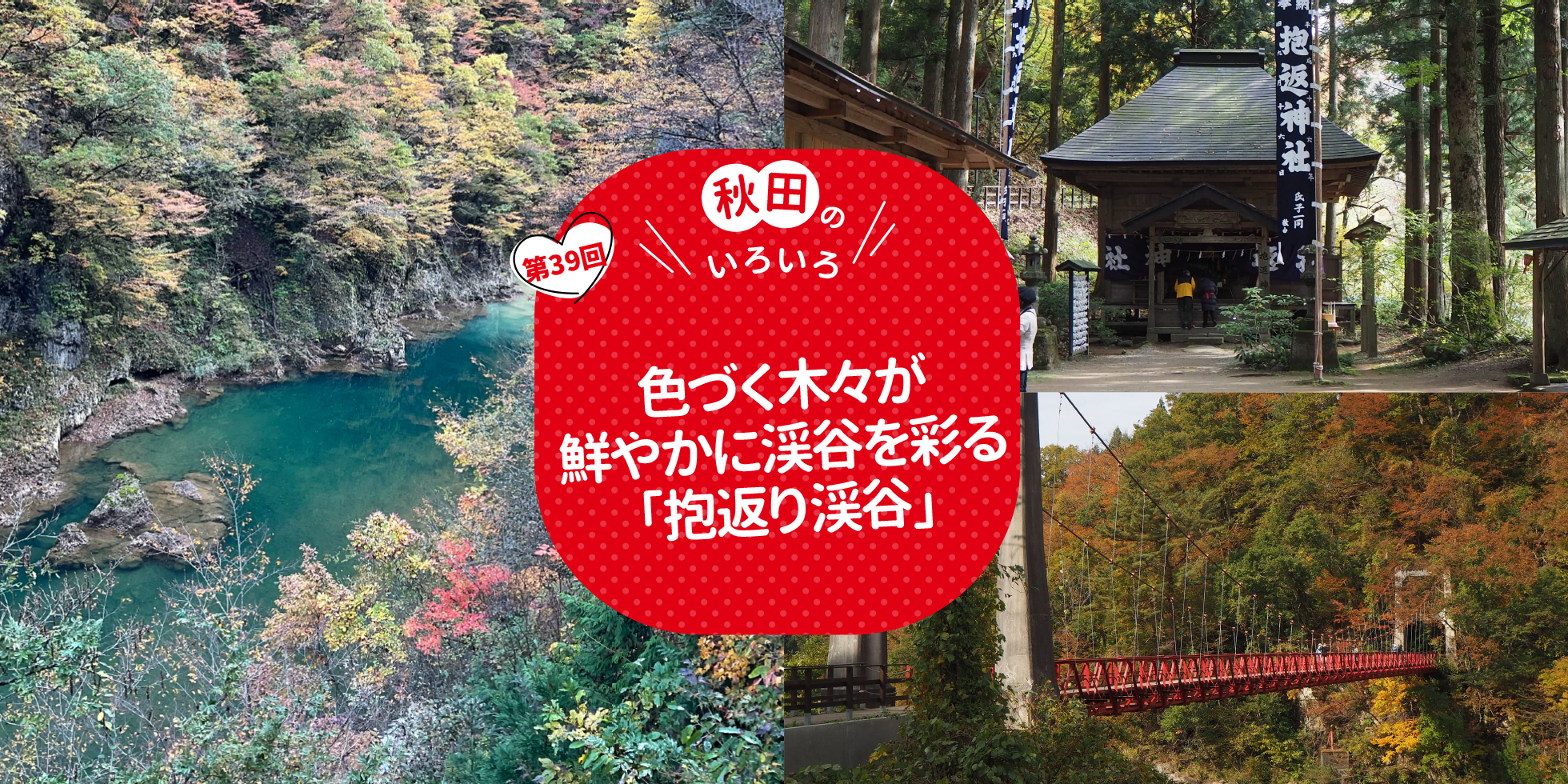 色づく木々が鮮やかに渓谷を彩る「抱返り渓谷」