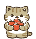 イラスト