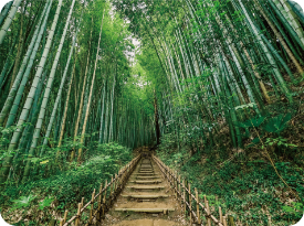 佐倉武家屋敷・ひよどり坂
