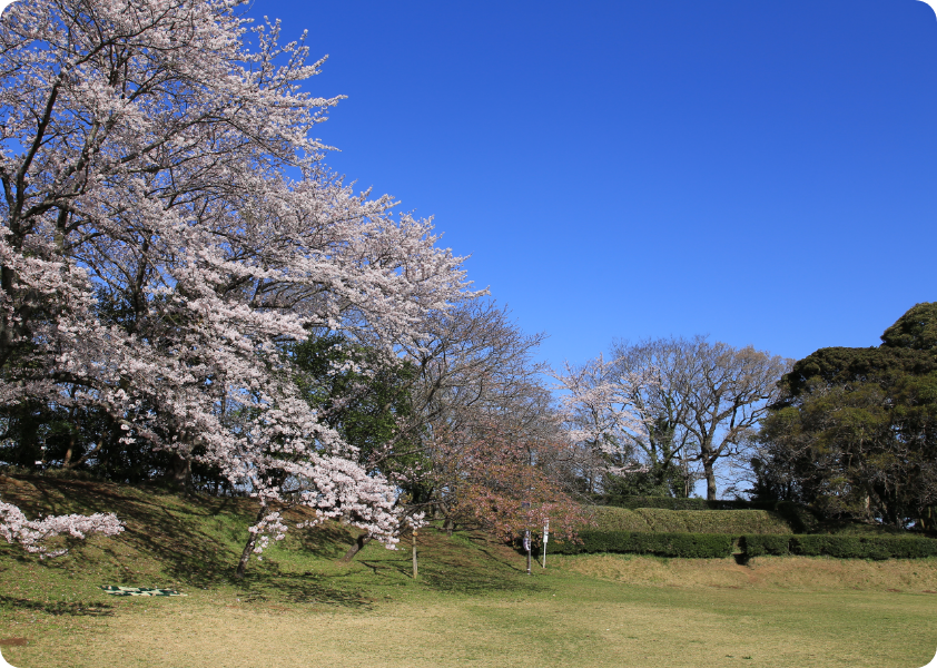 佐倉城跡
