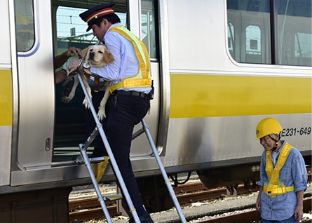 盲導犬の降車　イメージ