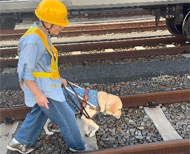 線路内歩行の体験　イメージ