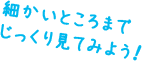 細かいところまでじっくり見てみよう！