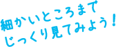 細かいところまでじっくり見てみよう！