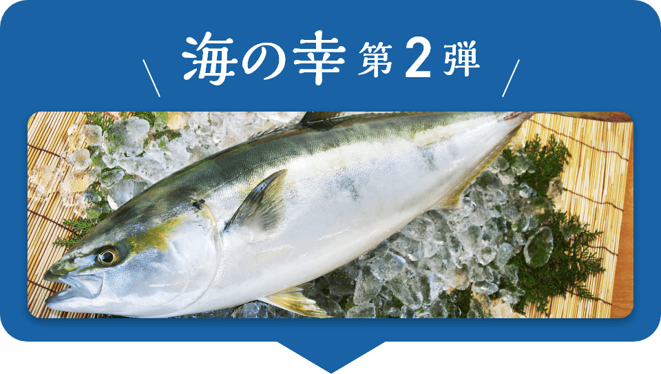 海の幸第2弾