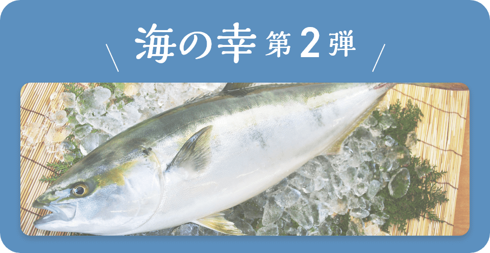 海の幸第2弾