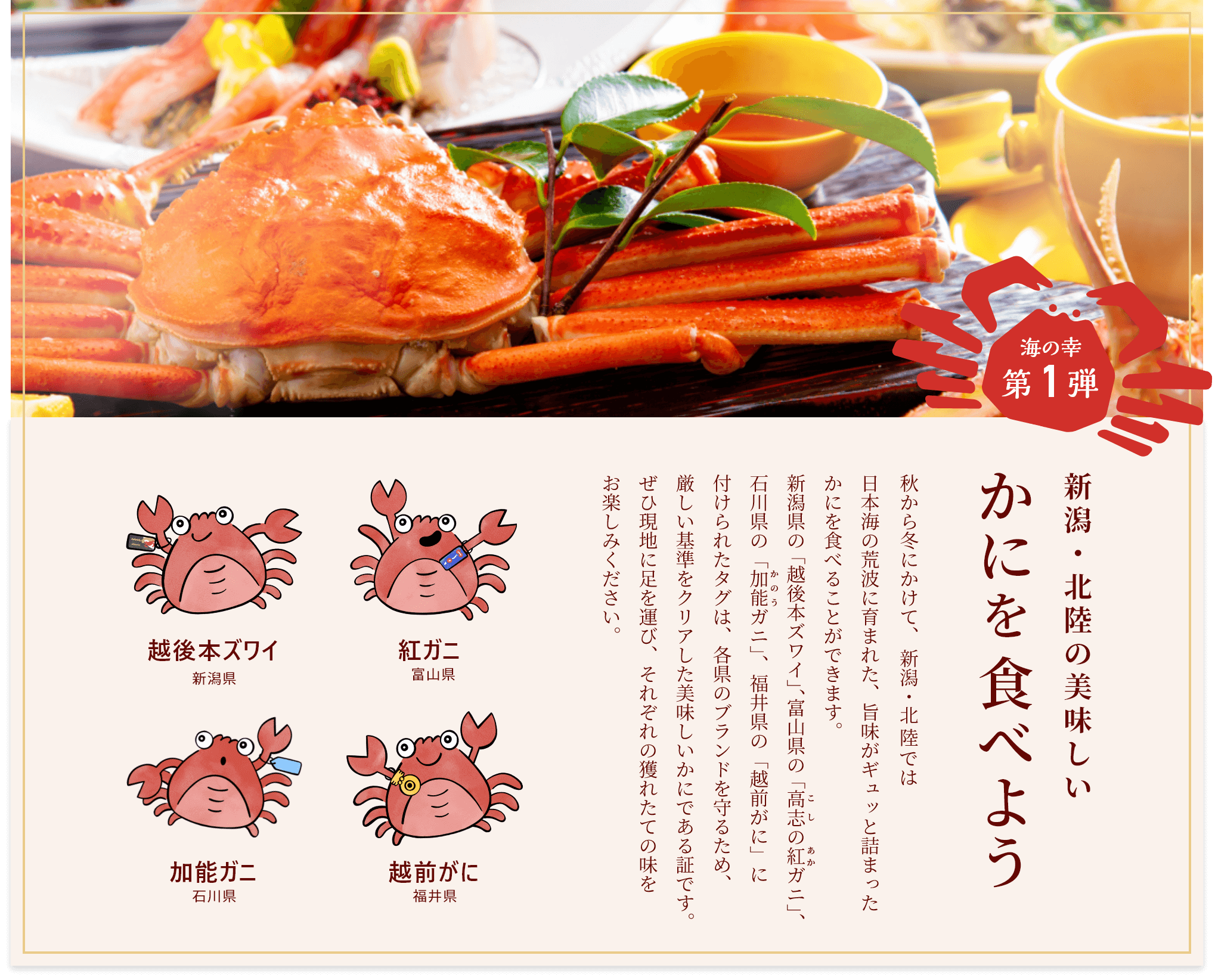 海の幸第1弾 新潟・北陸の美味しいかにを食べよう 秋から冬にかけて、新潟・北陸では日本海の荒波に育まれた、旨味がギュッと詰まったかにを食べることができます。新潟県の「越後本ズワイ」、富山県の「高志の紅ガニ」、石川県の「加能ガニ」、福井県の「越前がに」に付けられたタグは、各県のブランドを守るため、厳しい基準をクリアした美味しいかにである証です。ぜひ現地に足を運び、それぞれの獲れたての味をお楽しみください。越後本ズワイ新潟県 紅ガニ富山県 加能ガニ石川県 越前がに福井県