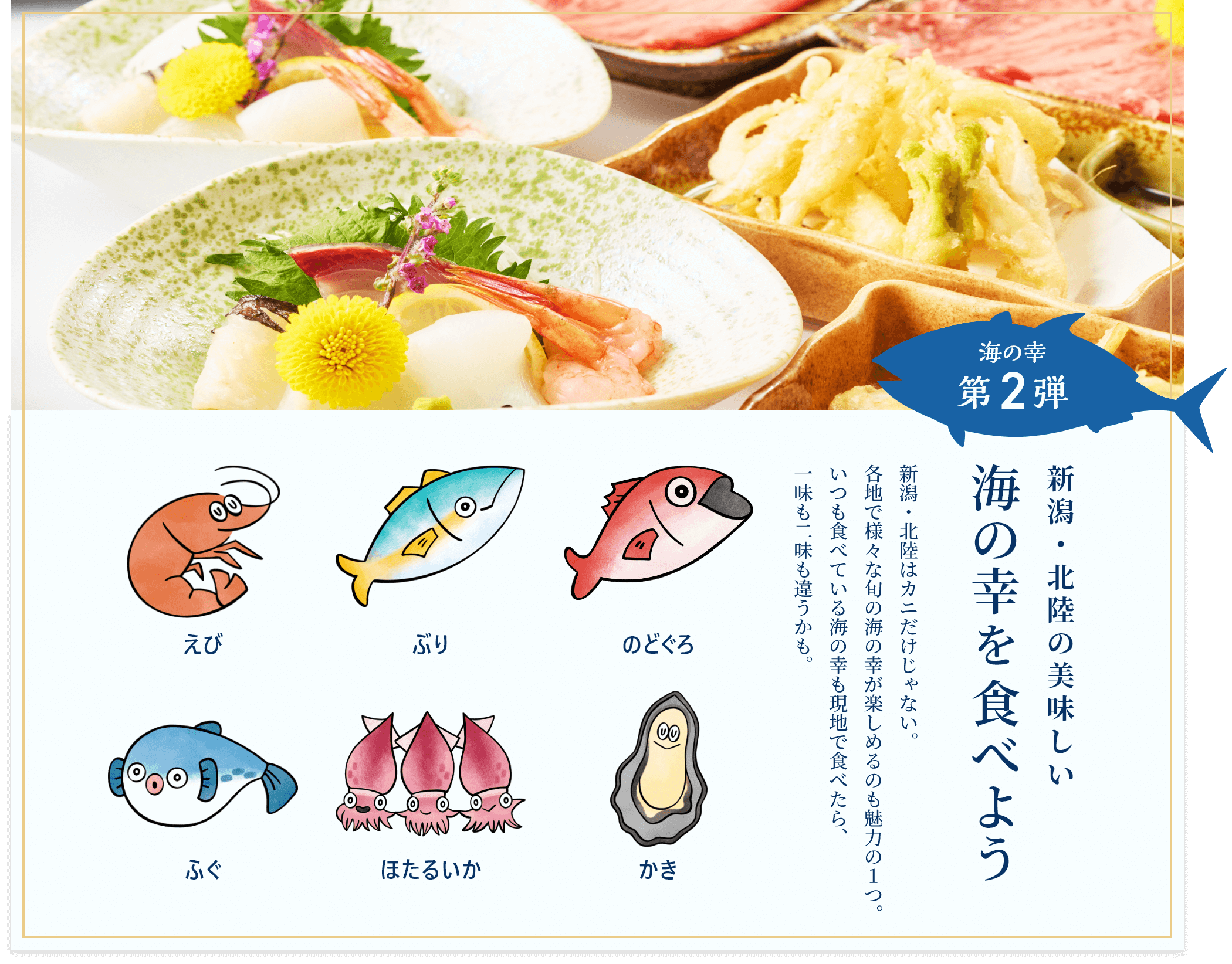 海の幸第2弾 新潟・北陸の美味しい海の幸を食べよう 新潟・北陸はカニだけじゃない。各地で様々な旬の海の幸が楽しめるのも魅力の1つ。いつも食べている海の幸も現地で食べたら、一味も二味も違うかも。えび、ぶり、のどぐろ、ふぐ、ほたるいか、かき