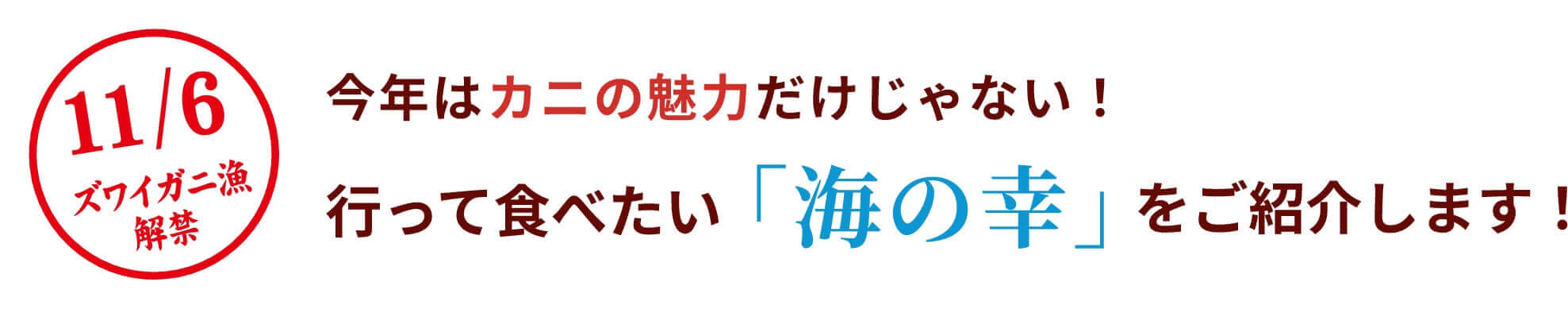 11/6ズワイガニ漁解禁 今年はカニの魅力だけじゃない！行って食べたい「海の幸」をご紹介します！
