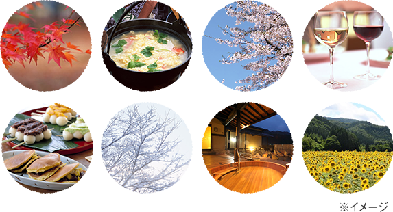 多彩な会員特典 イメージ