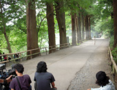 中尊寺 月見坂の写真
