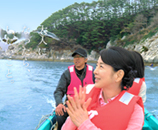 浄土ヶ浜の写真