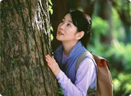 最上峡「巨木篇」
