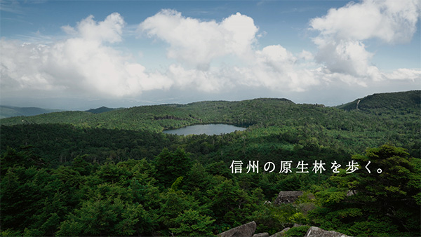 撮影地 イメージ