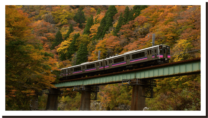 仙岩紅葉号