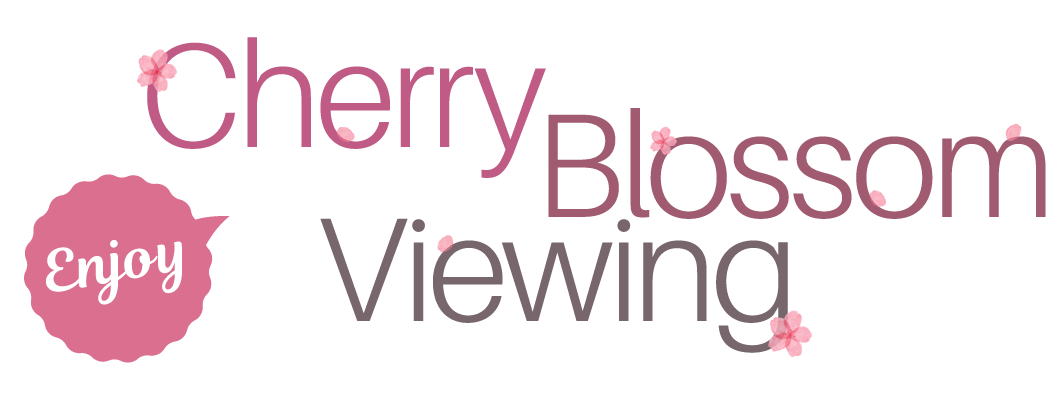 Enjoy Cherry Blossom Viewing