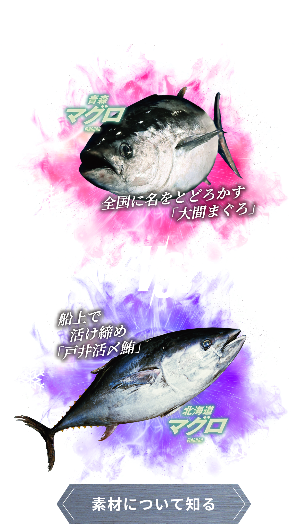 -2022-WINTER EPISODE.2 青森 マグロ MAGURO VS 北海道 マグロ MAGURO。 素材について知る