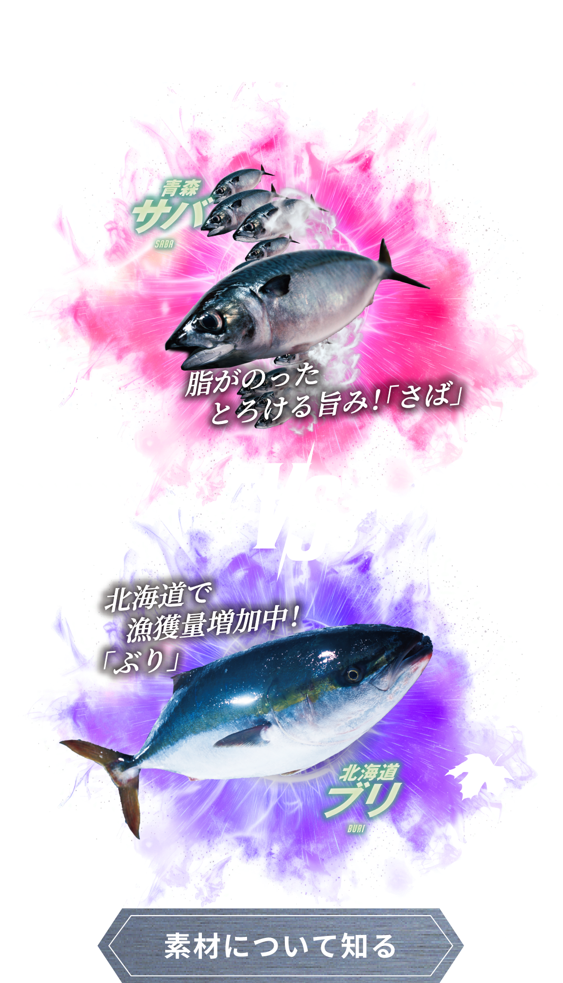 -2023-AUTUMN EPISODE.4 青森 サバ SABA VS 北海道 ブリ BURI。 素材について知る