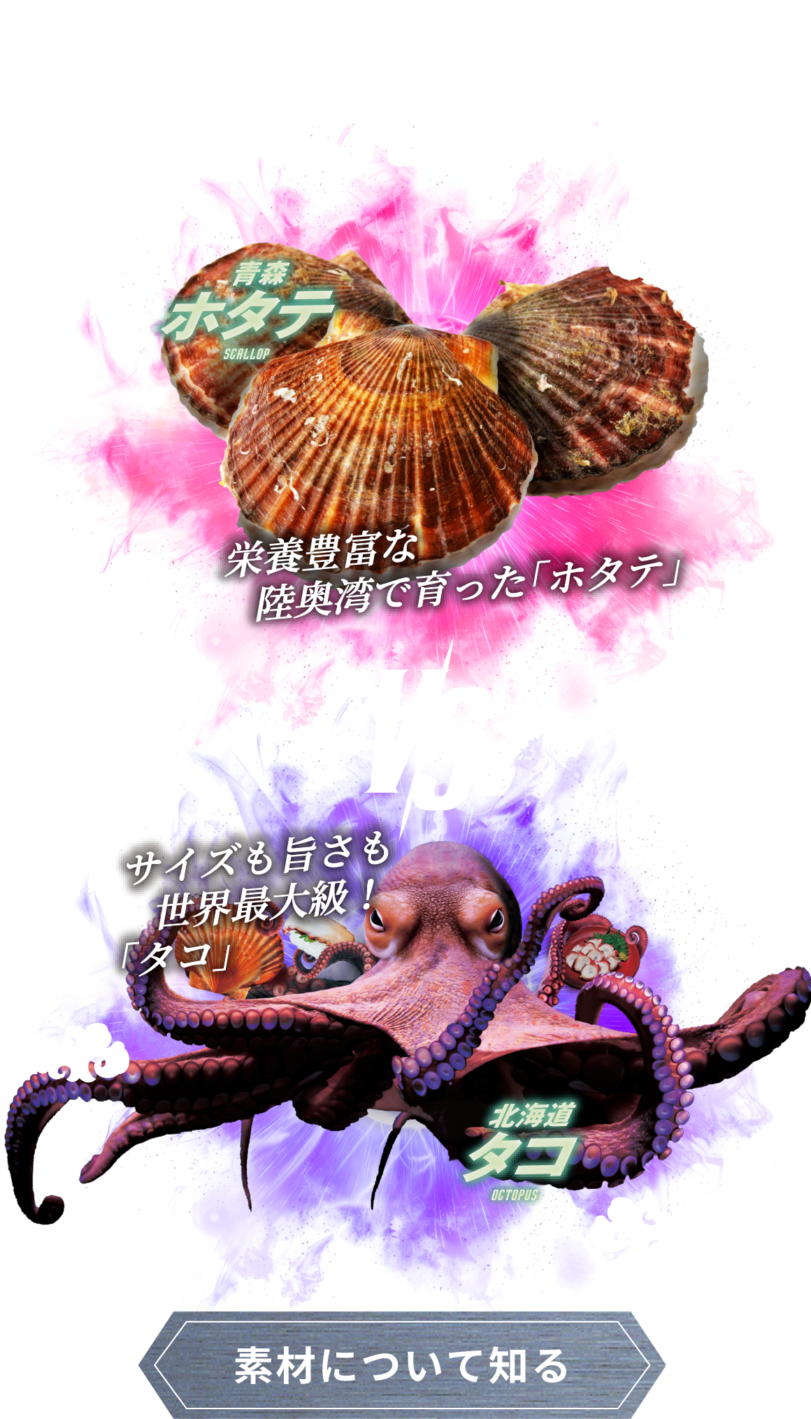 -2024-SUMMER EPISODE.5 青森 ホタテ SCALLOP VS 北海道 タコ OCTOPUS。 素材について知る
